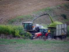 Young Farmers Embraced Digital Solutions